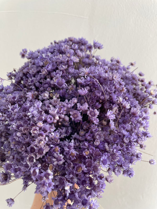 Glixia Blümchen | Flieder (1 Bund)