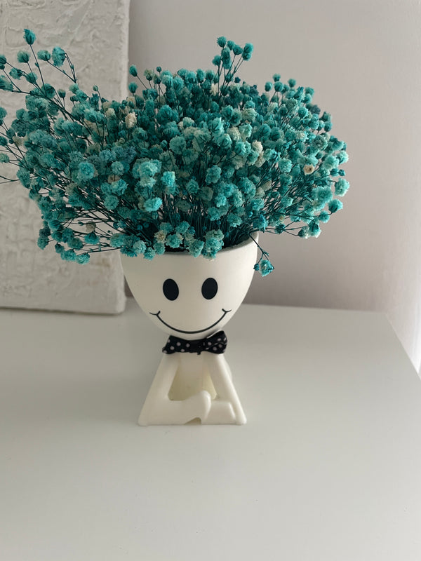 Happyface mit Schleierkraut