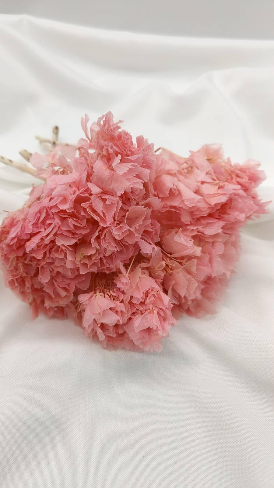 pink (1 Bund) - www.Flower-Passion.com