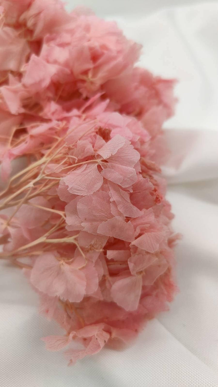Hortensie Trockenblumen | pink (1 Bund) - www.Flower-Passion.com
