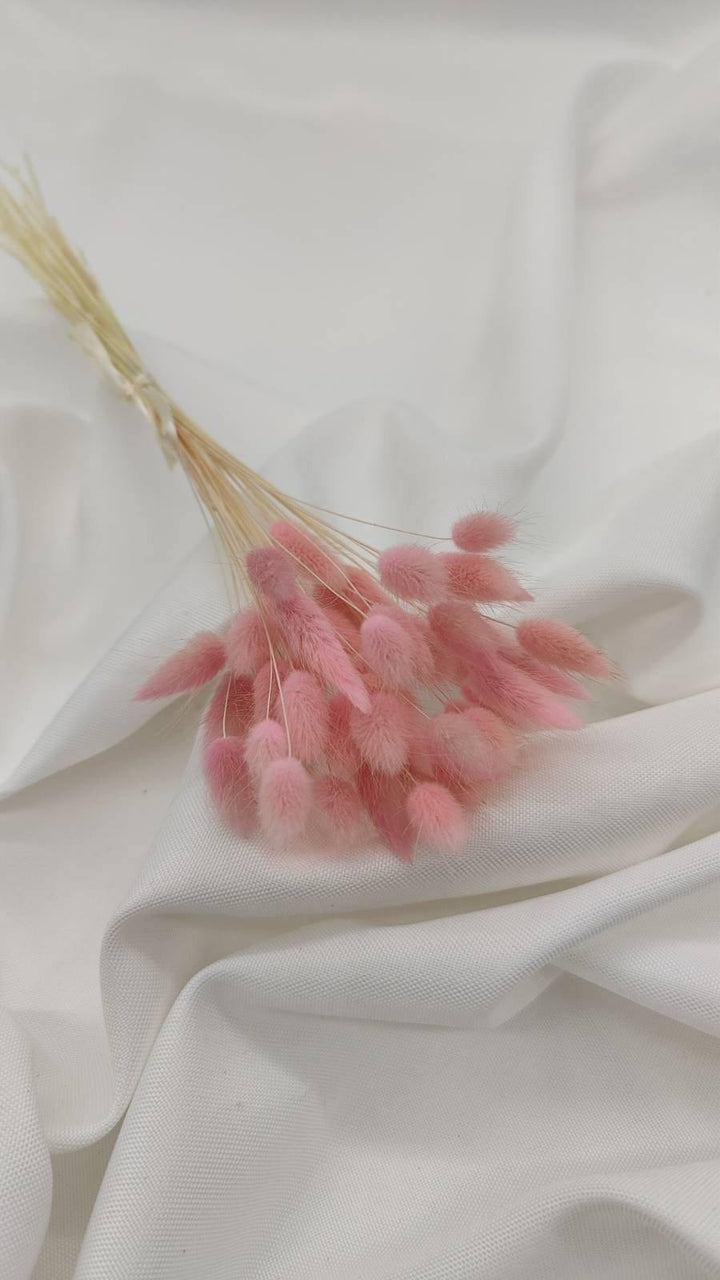 Baby Lagurus Trockenblumen | hell pink (1 Bund) - www.Flower-Passion.com