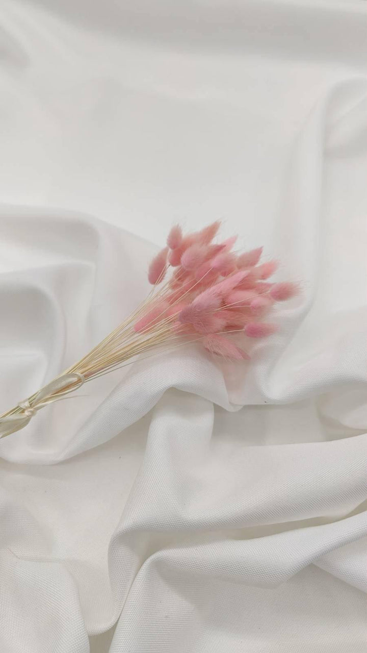 Baby Lagurus Trockenblumen | hell pink (1 Bund) - www.Flower-Passion.com