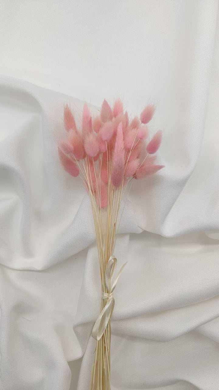 Baby Lagurus Trockenblumen | hell pink (1 Bund) - www.Flower-Passion.com