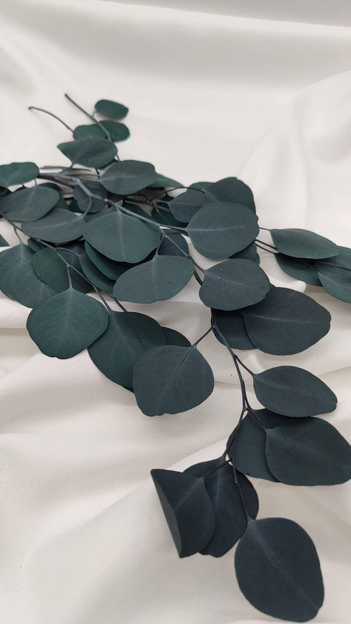 Eukalyptus Populus | Grün (1 Bund) - www.Flower-Passion.com