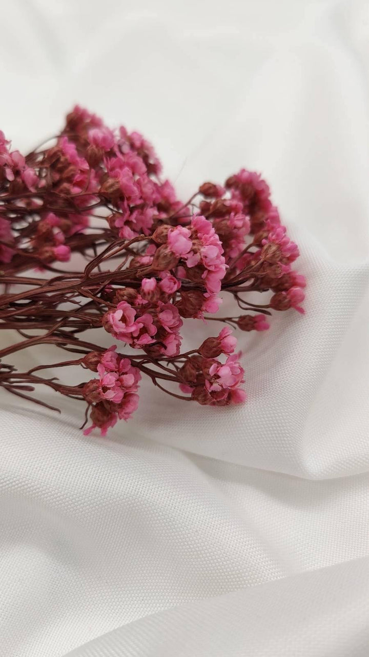 Ixodia Blümchen | Pink (1 Bund) - www.Flower-Passion.com