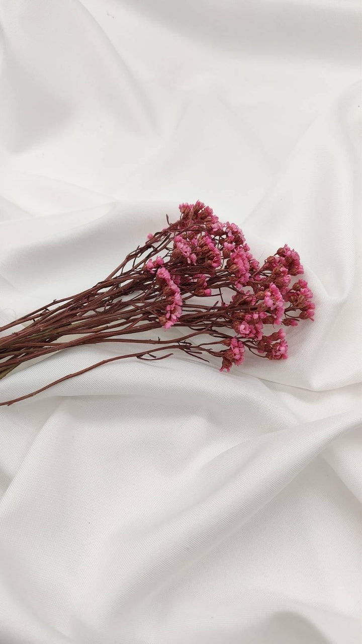 Ixodia Blümchen | Pink (1 Bund) - www.Flower-Passion.com