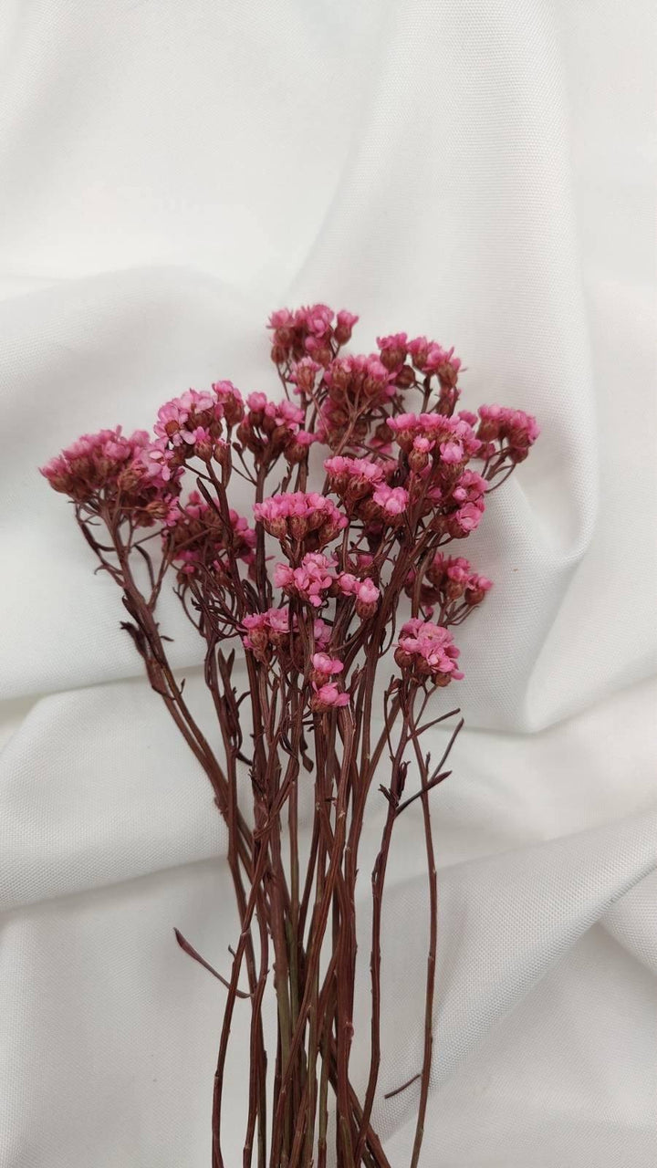 Ixodia Blümchen | Pink (1 Bund) - www.Flower-Passion.com