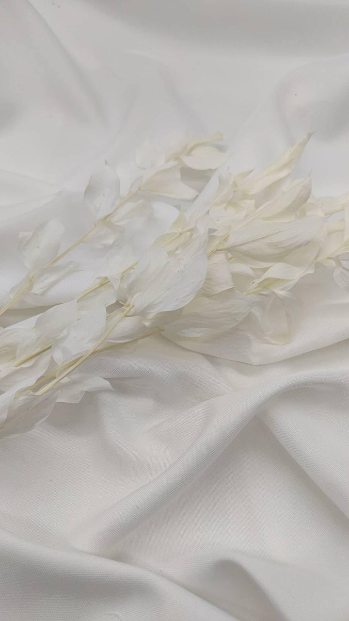 Ruscus Deluxe Trockenblumen | Weiß - Gebleicht (1 Stiel) - www.Flower-Passion.com