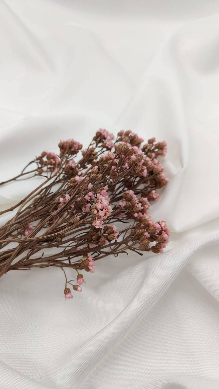 Ixodia Blümchen | Rosa (1 Bund) - www.Flower-Passion.com