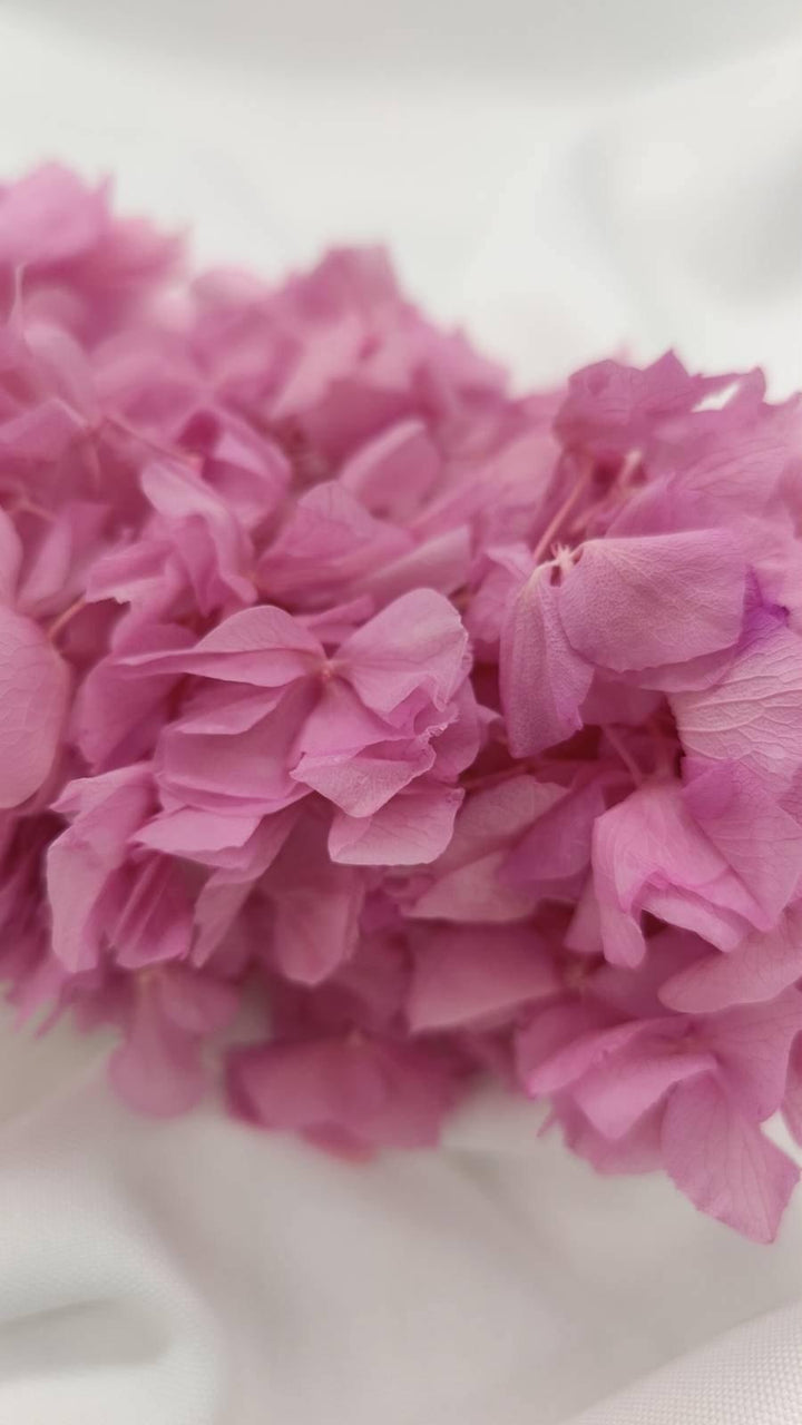 Hortensie Trockenblumen | rosa (1 Bund) - www.Flower-Passion.com