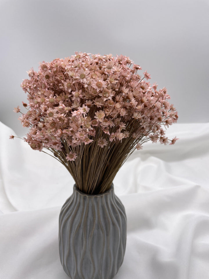 Glixia Blümchen | Rosa (1 Bund) - www.Flower-Passion.com