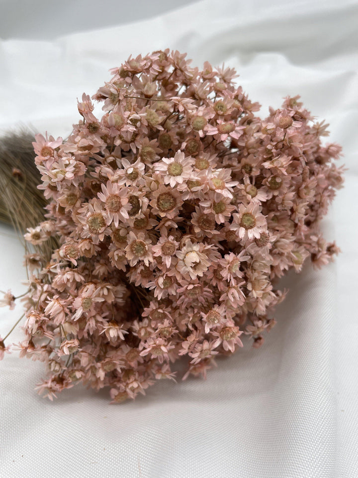 Glixia Blümchen | Rosa (1 Bund) - www.Flower-Passion.com