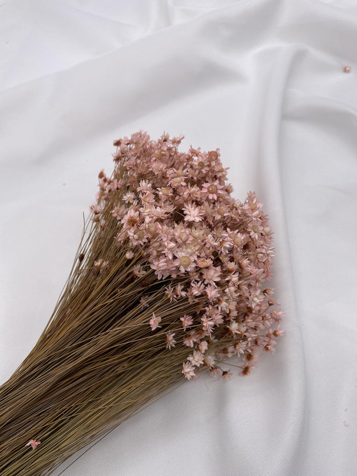 Glixia Blümchen | Rosa (1 Bund) - www.Flower-Passion.com