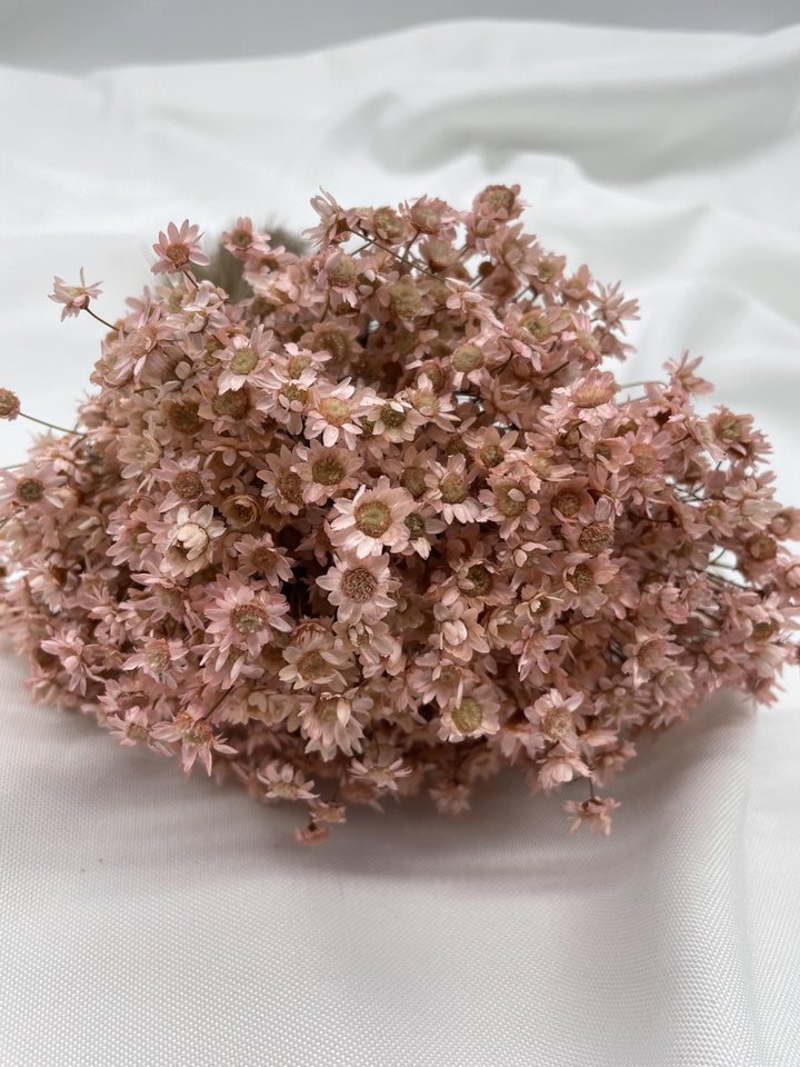 Glixia Blümchen | Rosa (1 Bund) - www.Flower-Passion.com