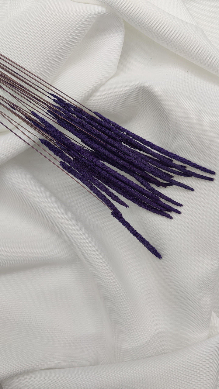 Phleum Trockenblumen Lila | (1 Bund) - www.Flower-Passion.com