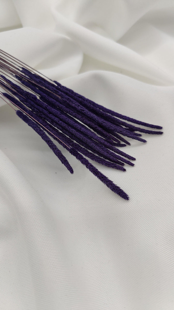 Phleum Trockenblumen Lila | (1 Bund) - www.Flower-Passion.com