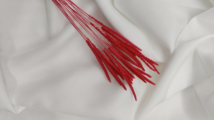 Phleum Trockenblumen Magenta | (1 Bund) - www.Flower-Passion.com