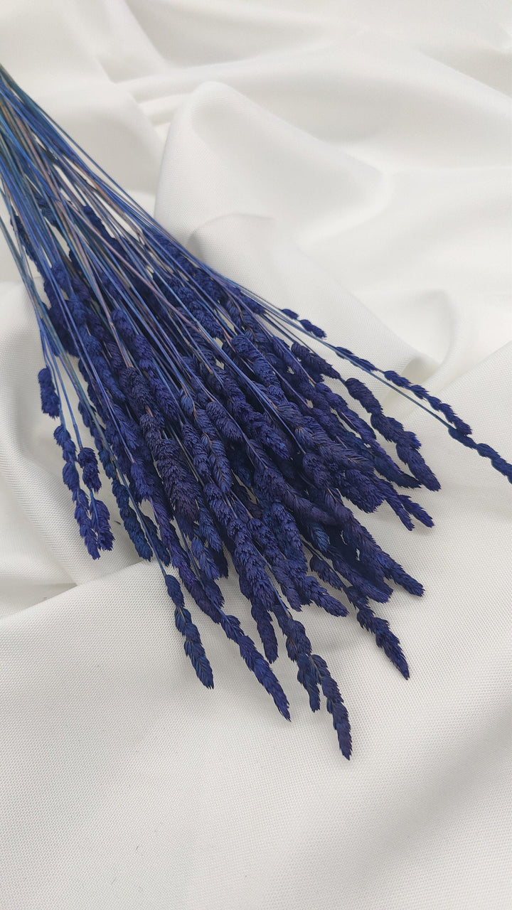 Wildgras Trockenblumen | Royal blau (1 Bund) - www.Flower-Passion.com