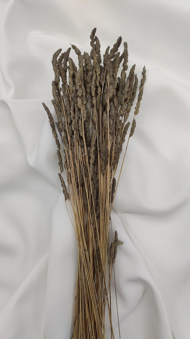 Wildgras Trockenblumen | Grau (1 Bund) - www.Flower-Passion.com