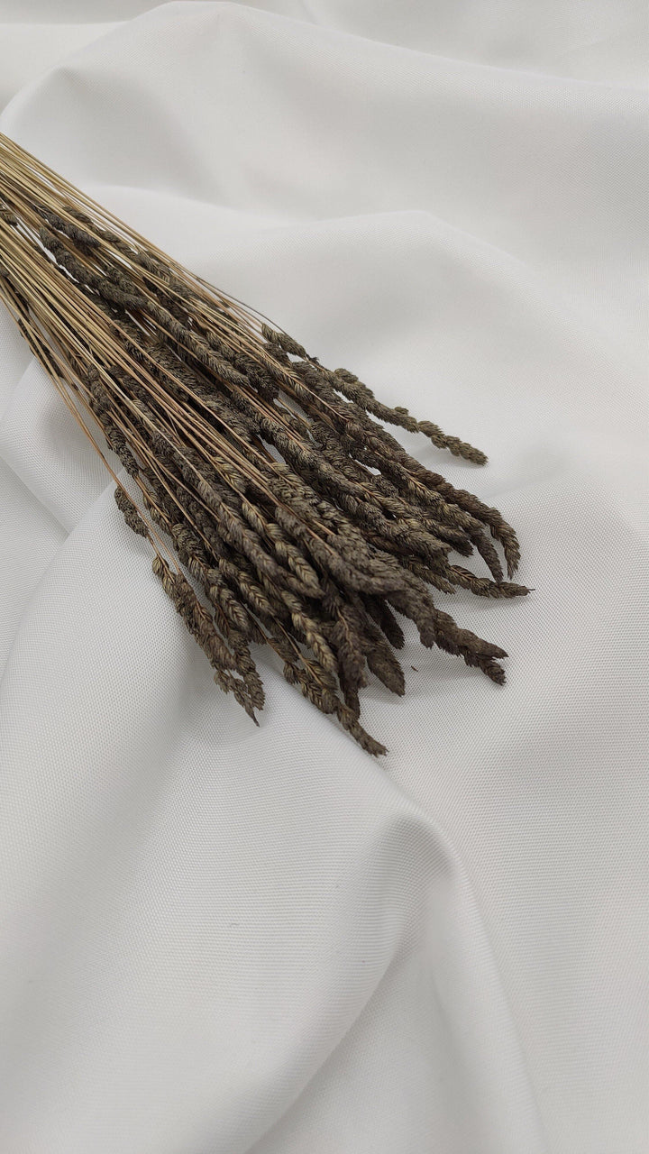 Wildgras Trockenblumen | Grau (1 Bund) - www.Flower-Passion.com