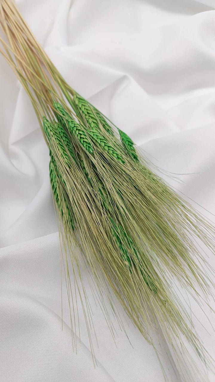 Weizen Trockenblumen | Grün (1 Bund) - www.Flower-Passion.com