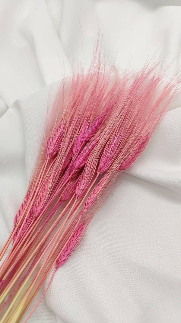 Weizen Trockenblumen | Pink (1 Bund) - www.Flower-Passion.com