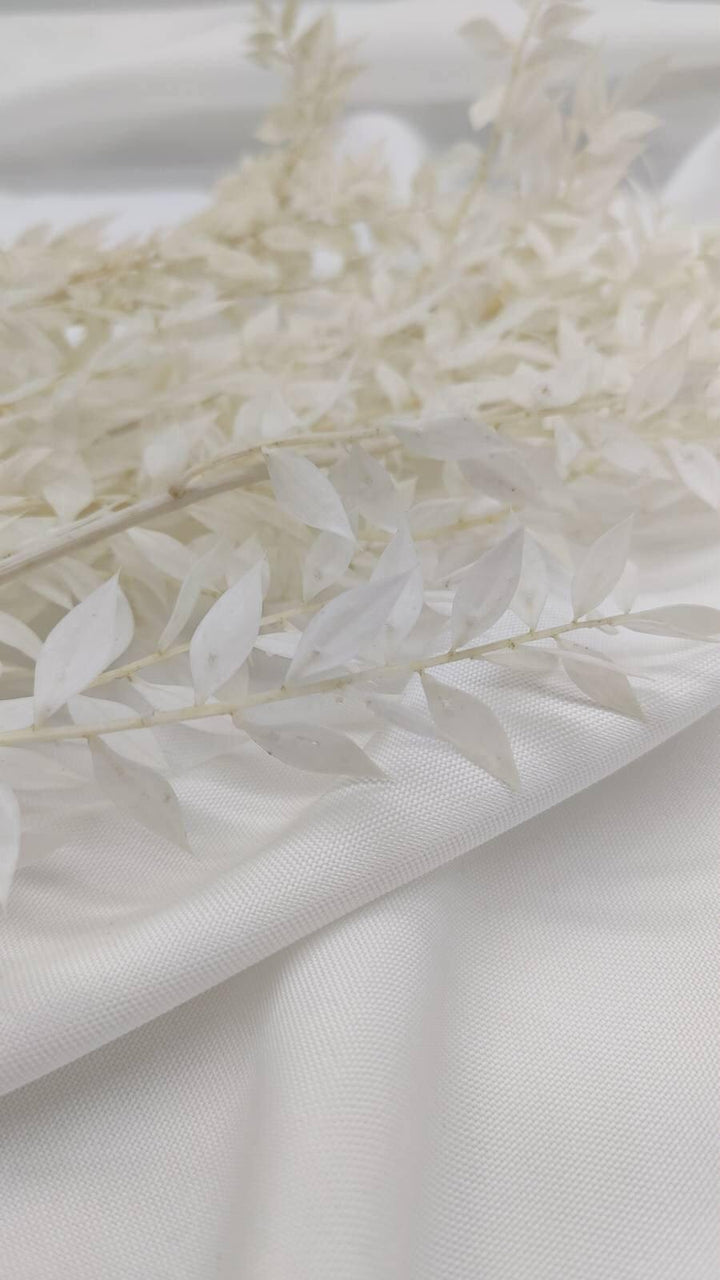 Ruscus Trockenblumen | Weiß - Gebleicht (1 Stiel) - www.Flower-Passion.com