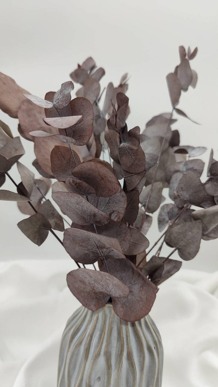 Eukalyptus Populus - www.Flower-Passion.com