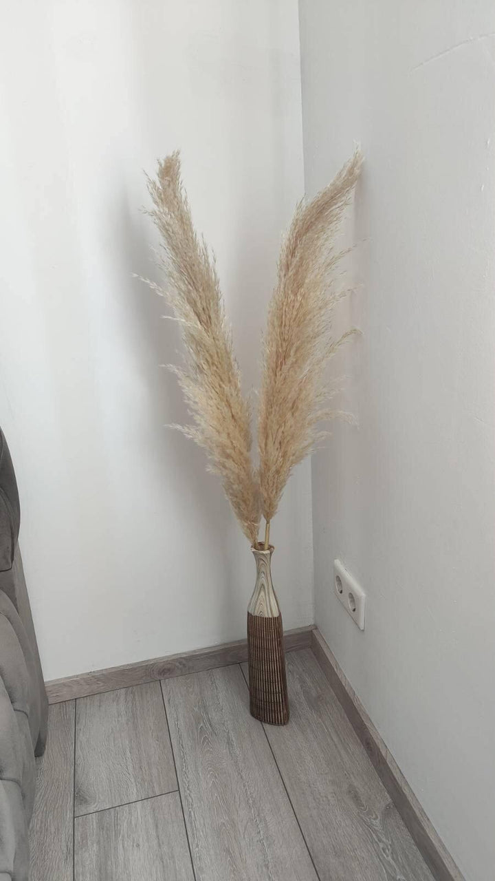 Fluffiges Luxus Pampasgras Trockenblumen | Beige - www.Flower-Passion.com