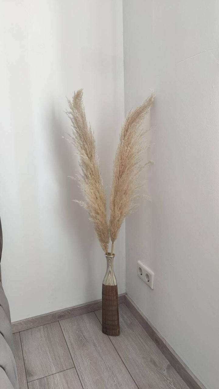Fluffiges Luxus Pampasgras Trockenblumen | Beige - www.Flower-Passion.com
