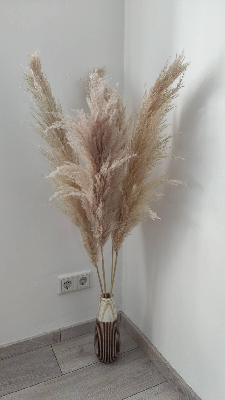 Fluffiges Luxus Pampasgras Trockenblumen | Beige - www.Flower-Passion.com