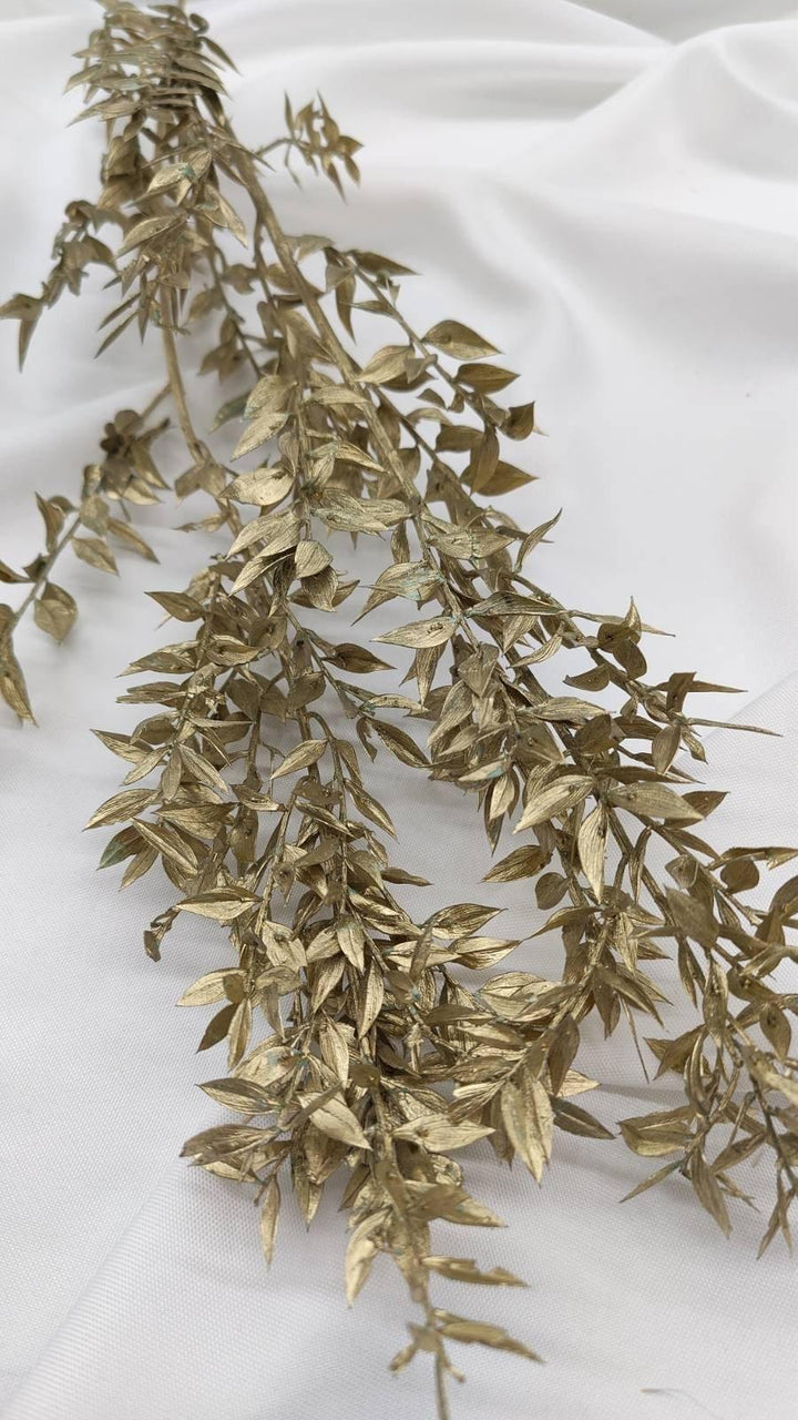 Ruscus Trockenblumen | gold 1 Stiel - www.Flower-Passion.com