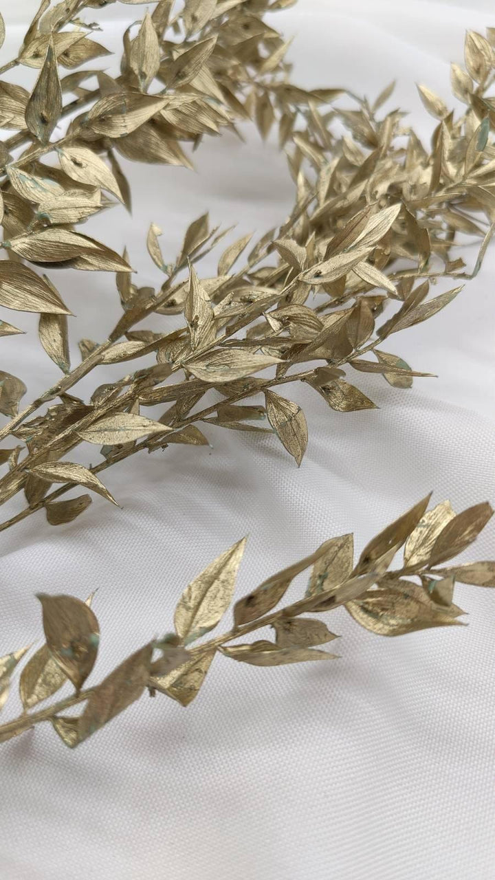 Ruscus Trockenblumen | gold 1 Stiel - www.Flower-Passion.com