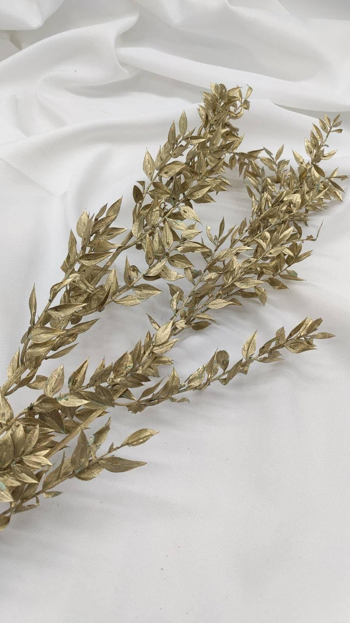 Ruscus Trockenblumen | gold 1 Stiel - www.Flower-Passion.com