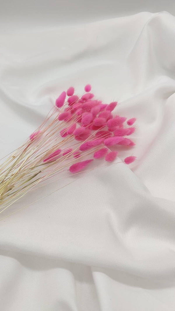 Baby Lagurus Trockenblumen | Pink (1 Bund) - www.Flower-Passion.com