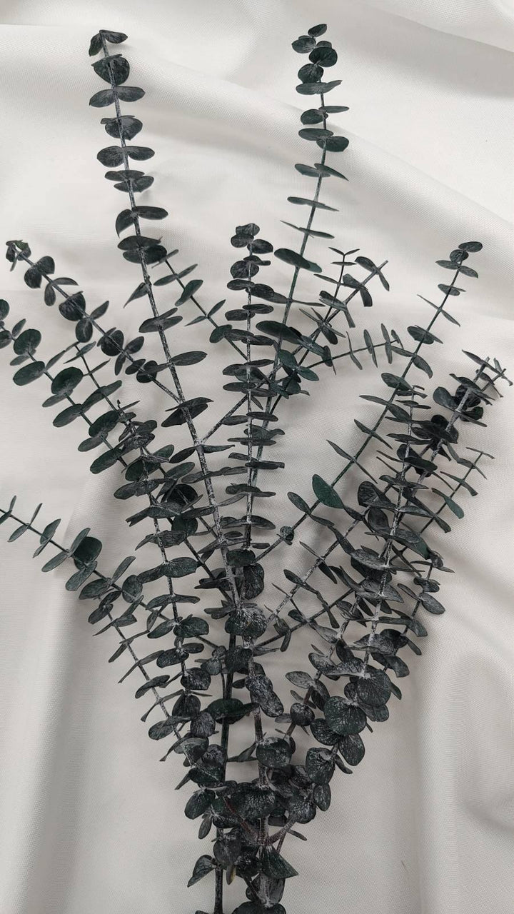 Eukalyptus Baby Blue - www.Flower-Passion.com