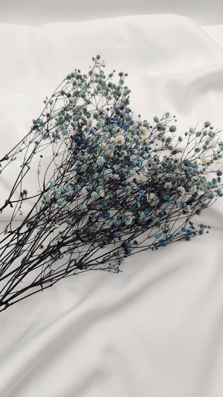 Schleierkraut Trockenblumen | Blau weiß (1 Bund) - www.Flower-Passion.com