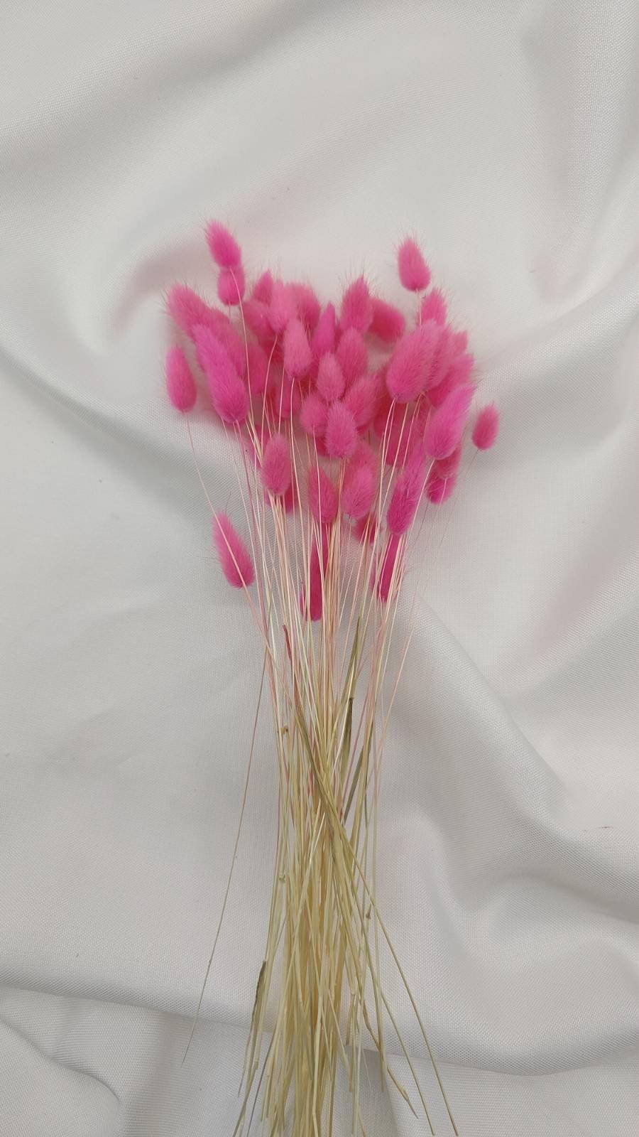 Pink (1 Bund) - www.Flower-Passion.com