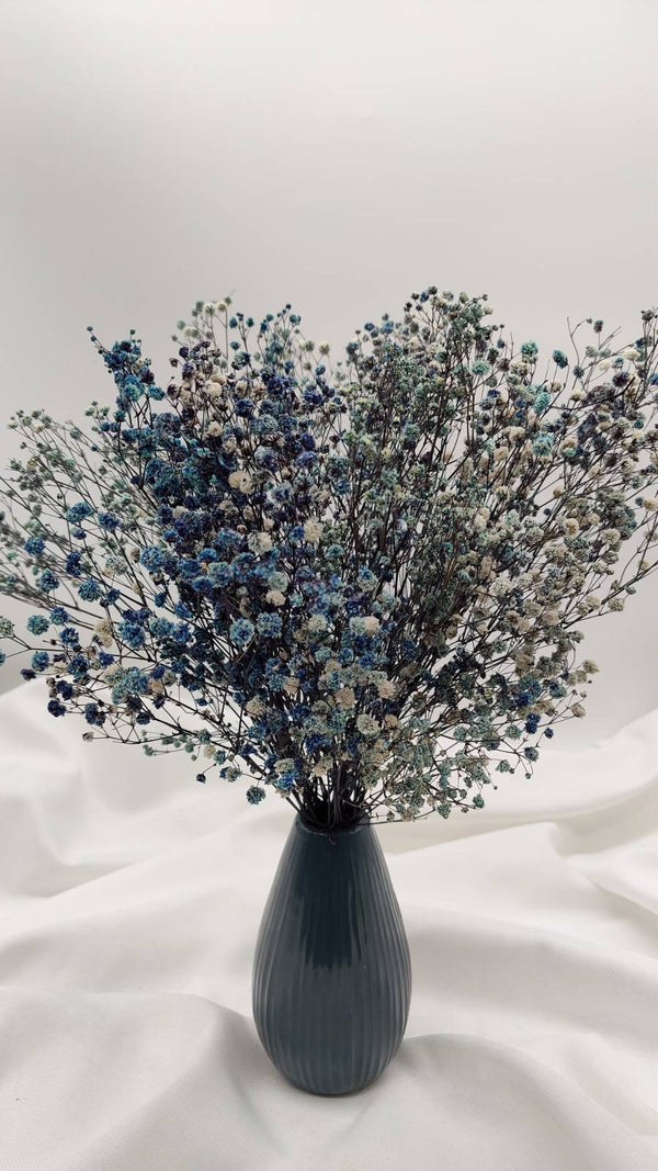 Schleierkraut Trockenblumen | Blau weiß (1 Bund) - www.Flower-Passion.com