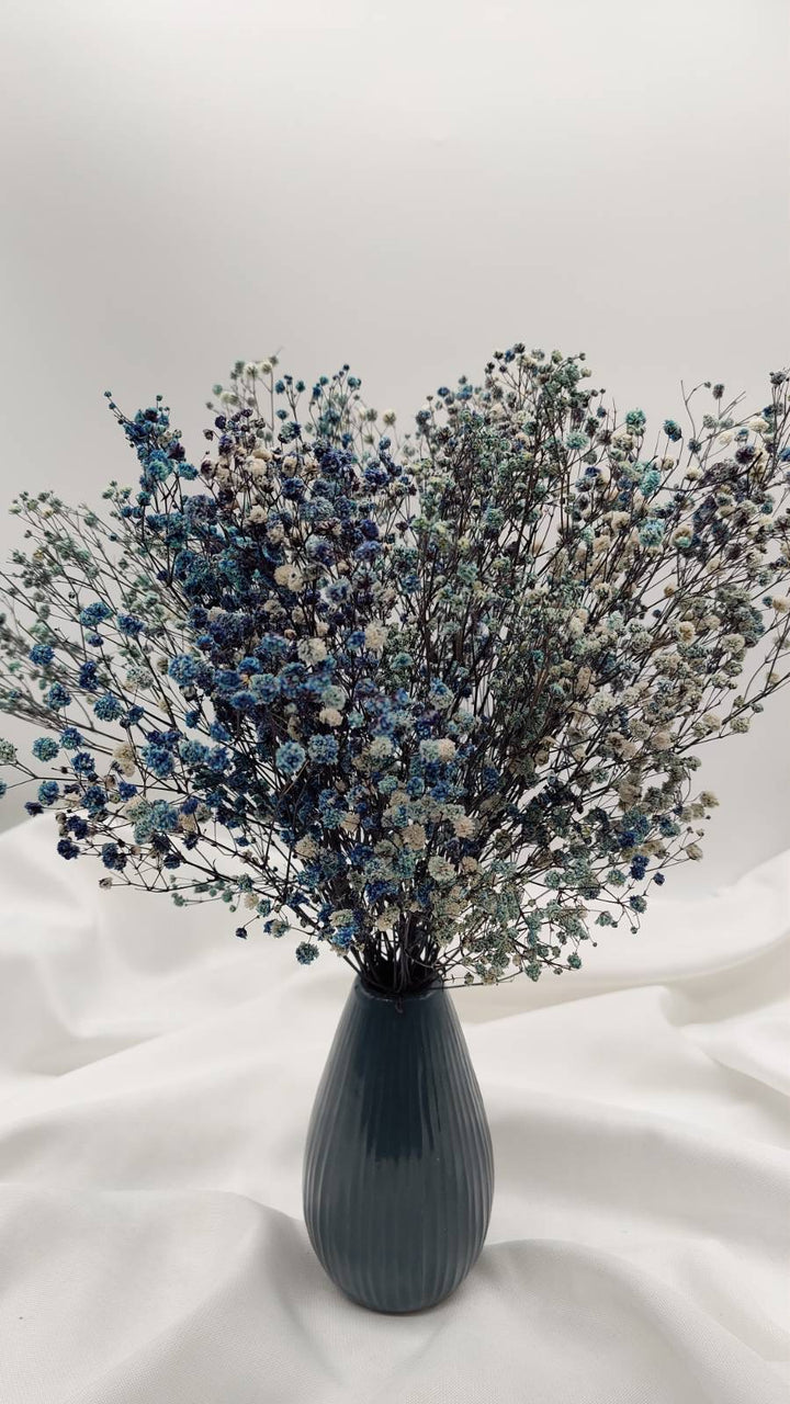 Schleierkraut Trockenblumen | Blau weiß (1 Bund) - www.Flower-Passion.com