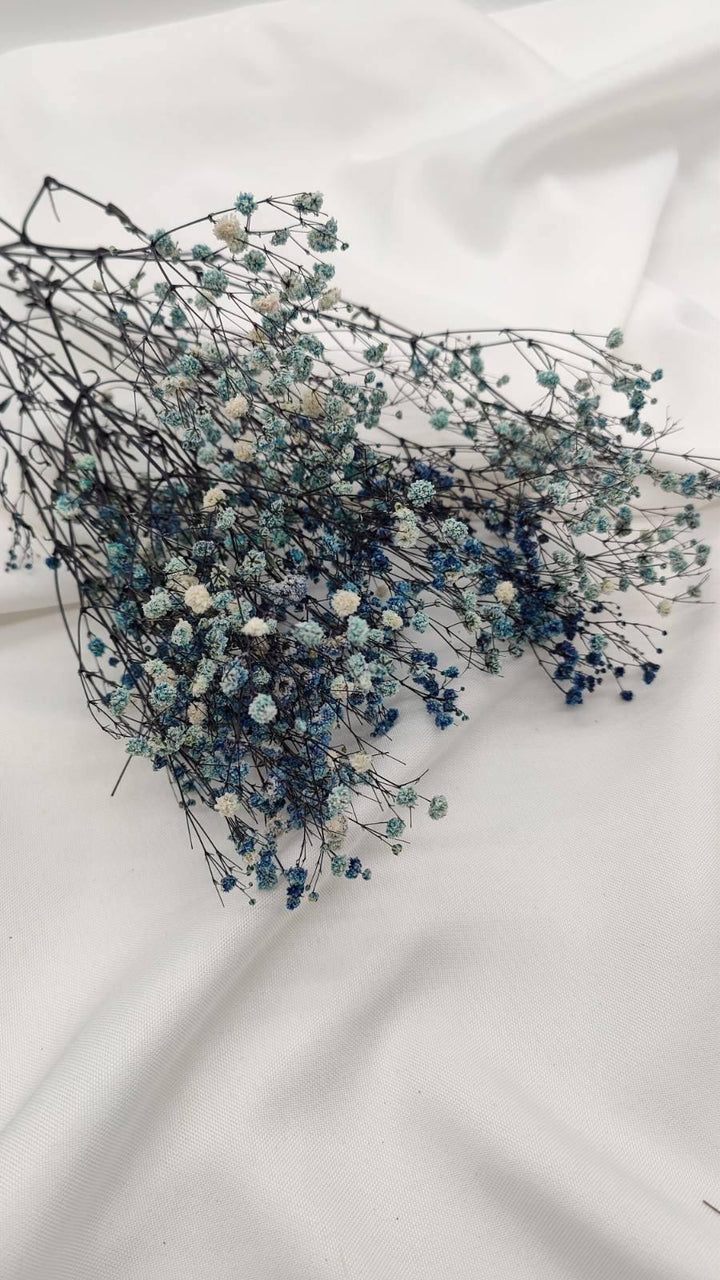 Schleierkraut Trockenblumen | Blau weiß (1 Bund) - www.Flower-Passion.com