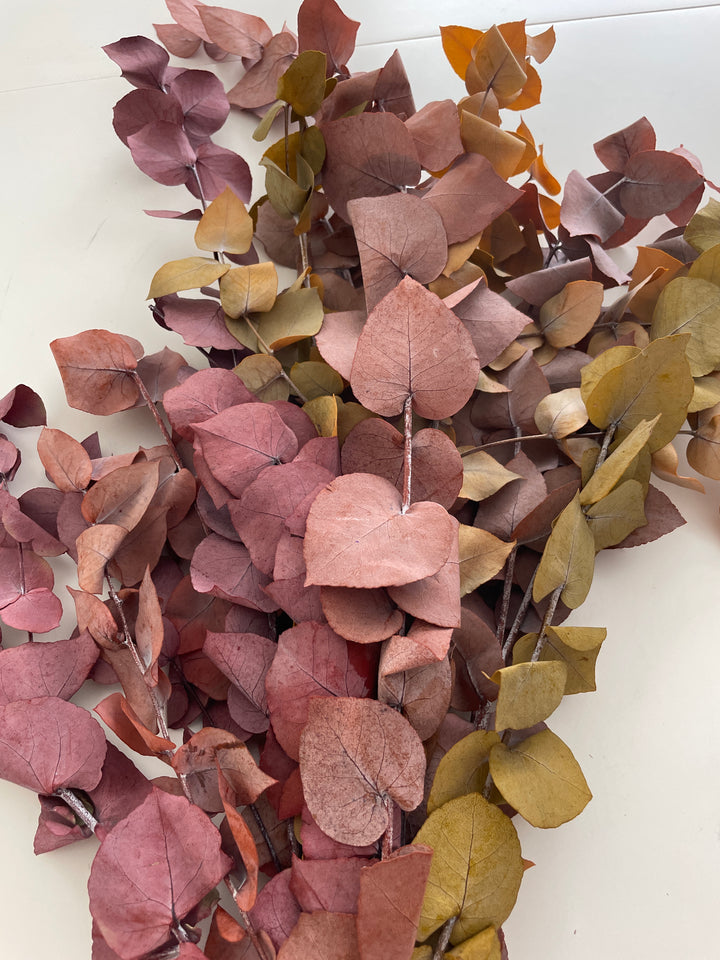 Eukalyptus in Herbstfarben - www.Flower-Passion.com