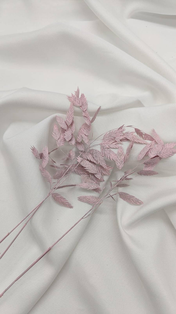 Chasmanthium Plattährengras | Rosa 1 Bund - www.Flower-Passion.com