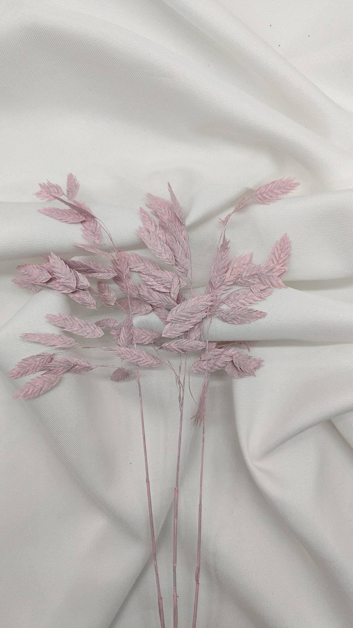 Chasmanthium Plattährengras | Rosa 1 Bund - www.Flower-Passion.com