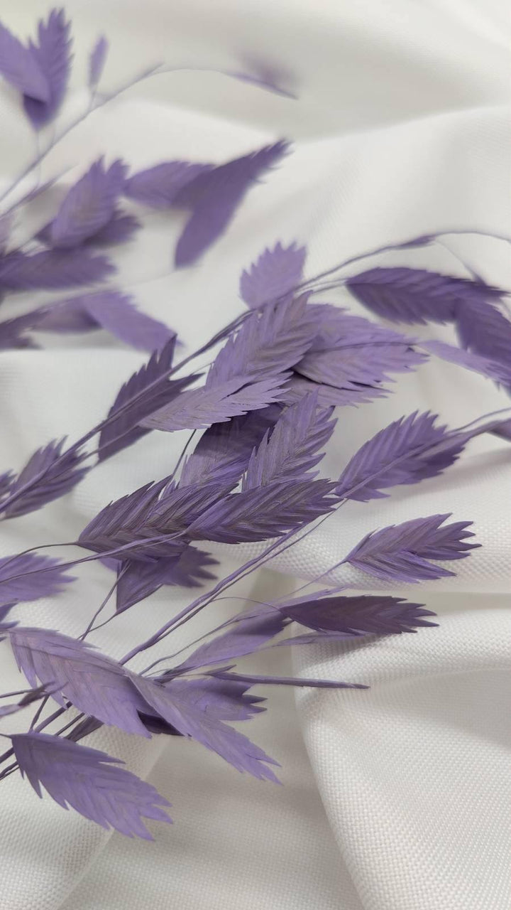 Chasmanthium Plattährengras | Flieder 1 Bund - www.Flower-Passion.com