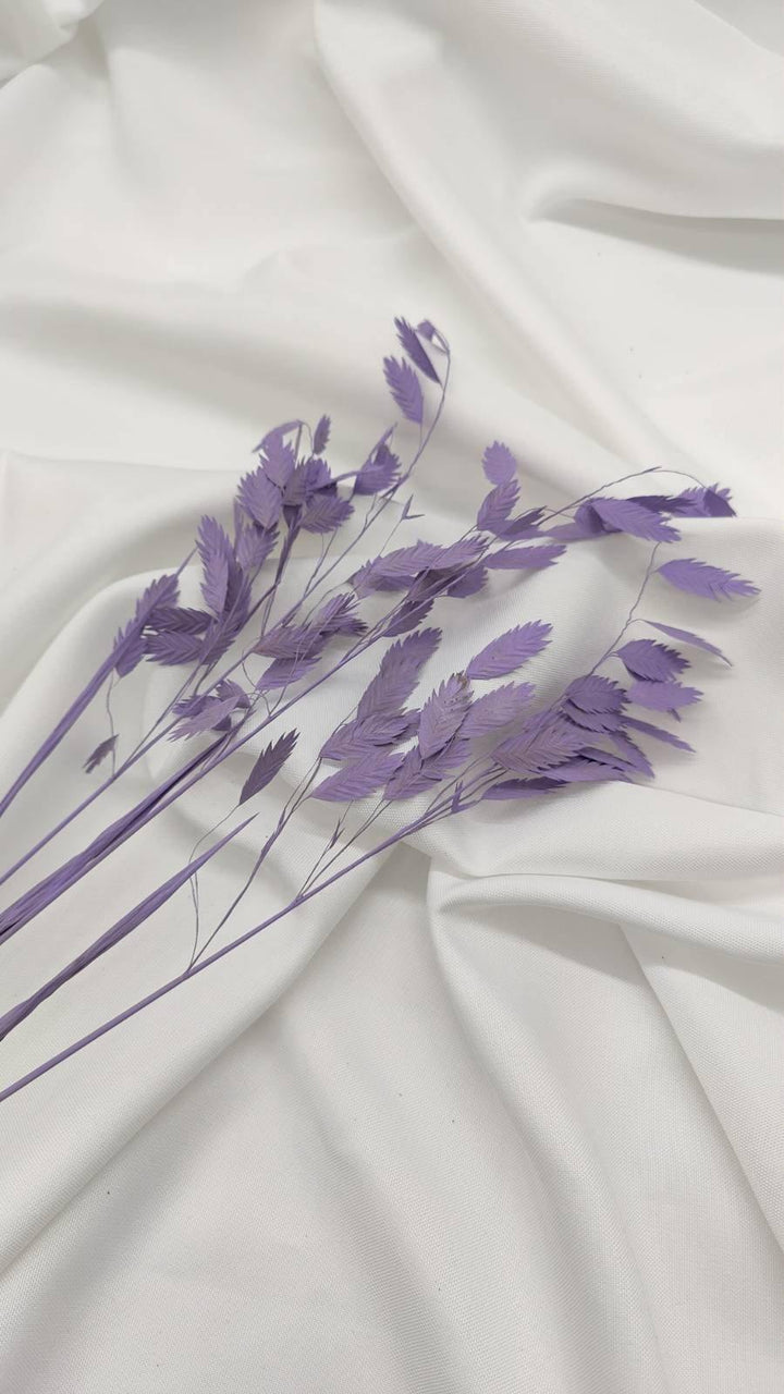 Chasmanthium Plattährengras | Flieder 1 Bund - www.Flower-Passion.com