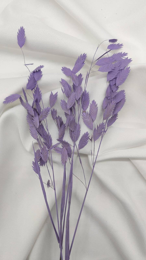 Chasmanthium Plattährengras | Flieder 1 Bund - www.Flower-Passion.com