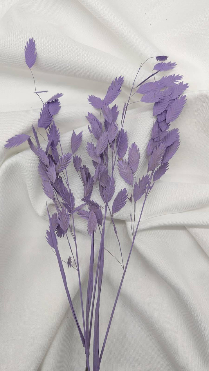 Chasmanthium Plattährengras | Flieder 1 Bund - www.Flower-Passion.com