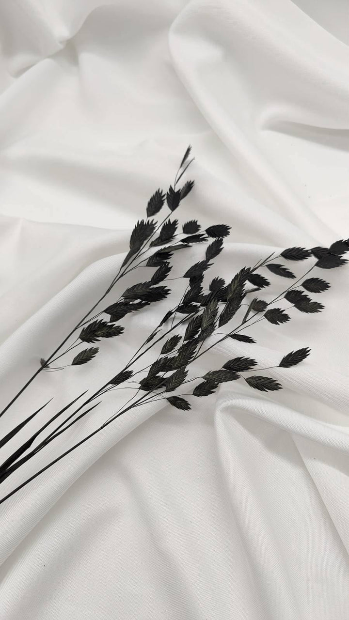 Chasmanthium Plattährengras | Schwarz (1 Bund) - www.Flower-Passion.com