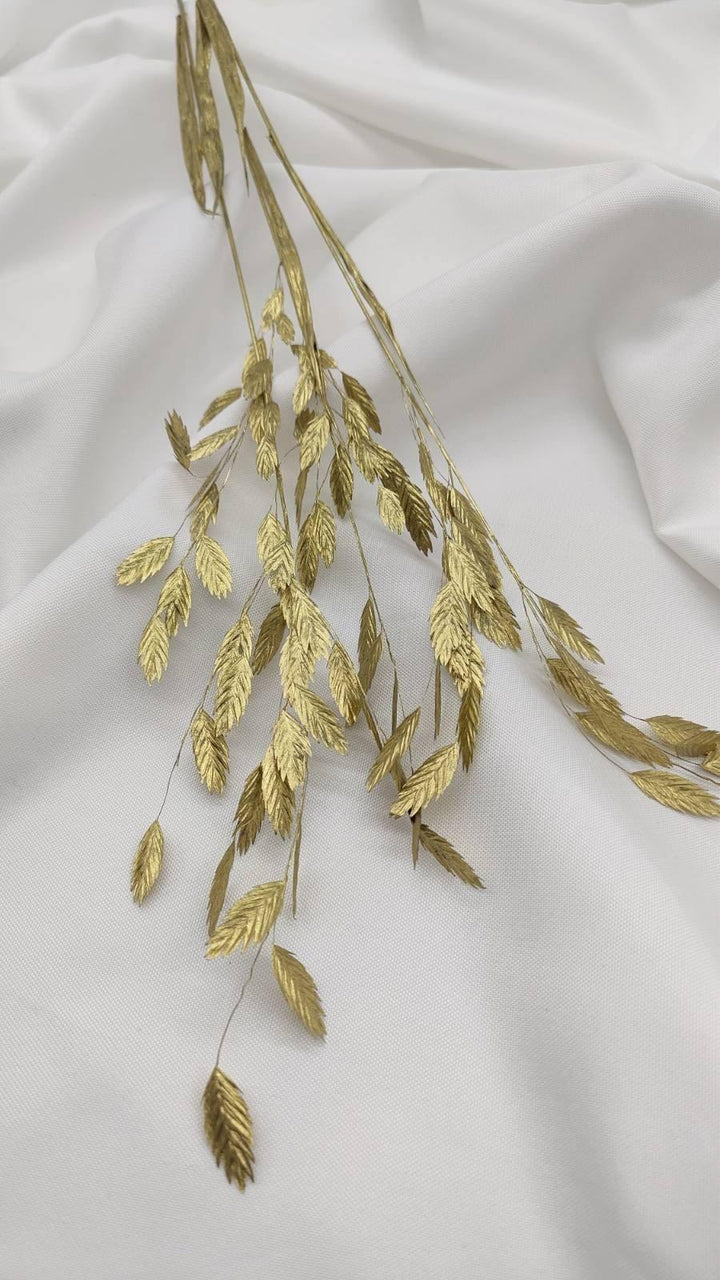 Chasmanthium Plattährengras | Gold 1 Bund - www.Flower-Passion.com